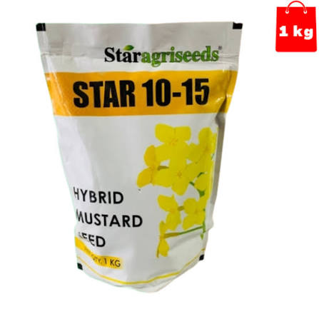 Star 10-15 Mustard