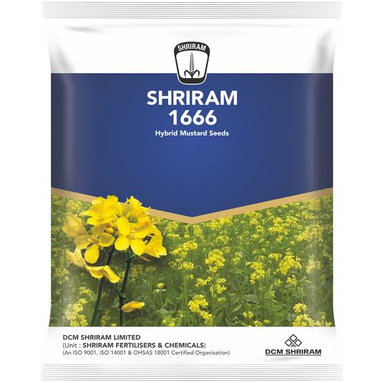 Shriram 1666 Mustard