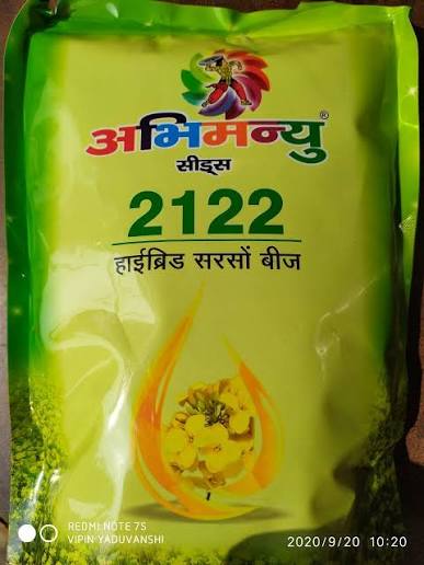 Abhimanyu 2121 Mustard